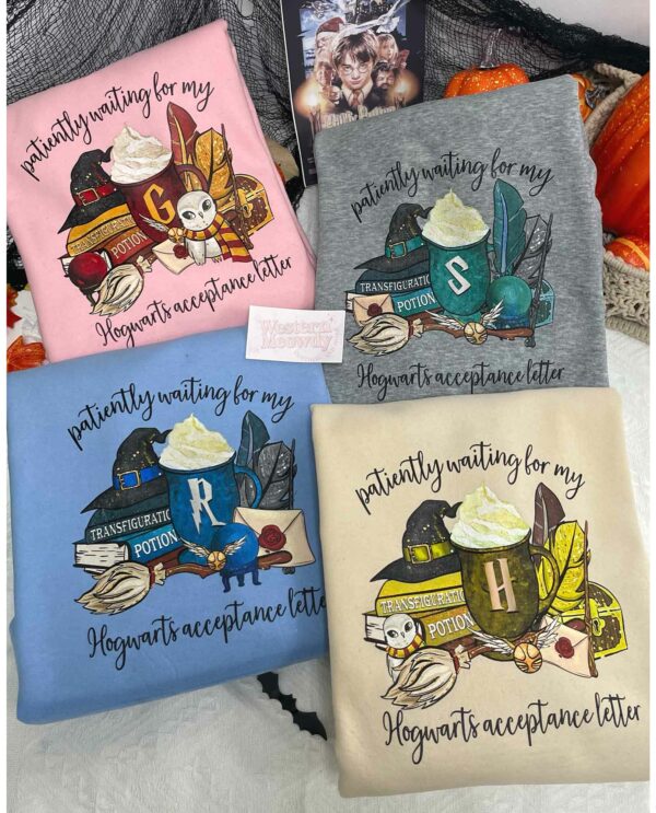 Hogwarts Harry Potter House – Sweatshirt